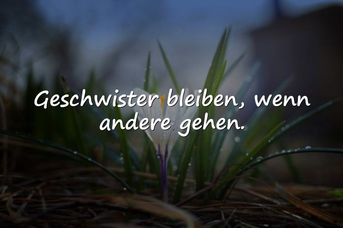 Bilder mit geschwister sprüche - 5