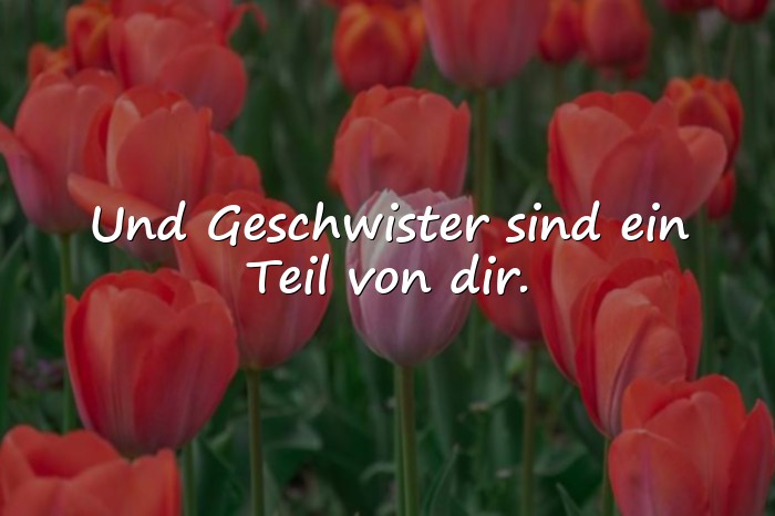 Bilder mit geschwister sprüche - 1