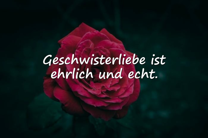 Bilder mit geschwisterliebe sprüche - 19