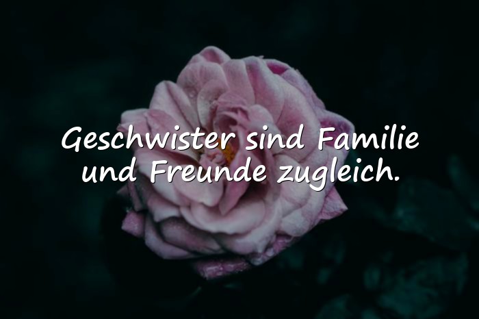 Bilder mit geschwisterliebe sprüche - 14