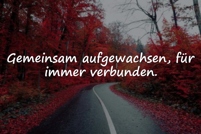 Bilder mit geschwisterliebe sprüche - 9