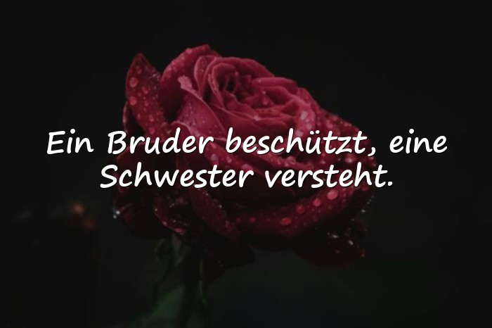 Bilder mit geschwisterliebe sprüche - 4