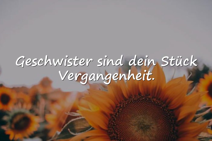 Bilder mit geschwisterliebe sprüche - 24