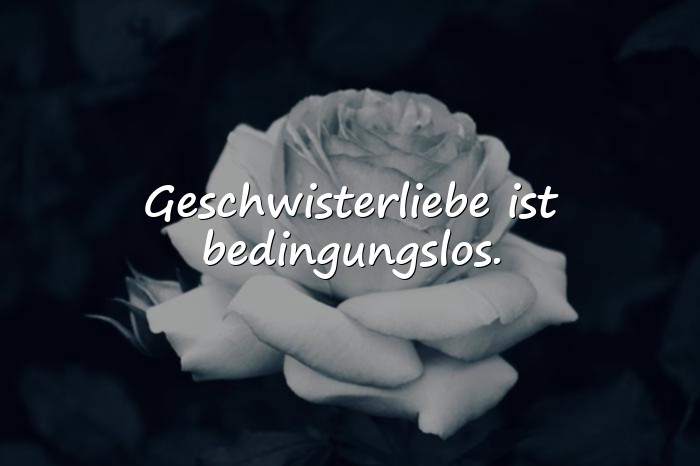 Bilder mit geschwisterliebe sprüche - 15