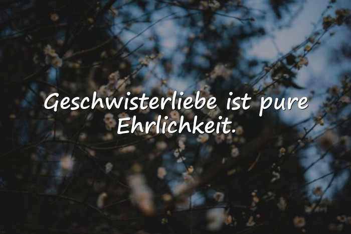 Bilder mit geschwisterliebe sprüche - 11