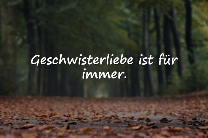 Bilder mit geschwisterliebe sprüche - 6