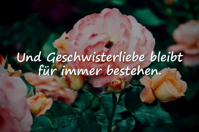 Bilder mit geschwisterliebe sprüche - 1