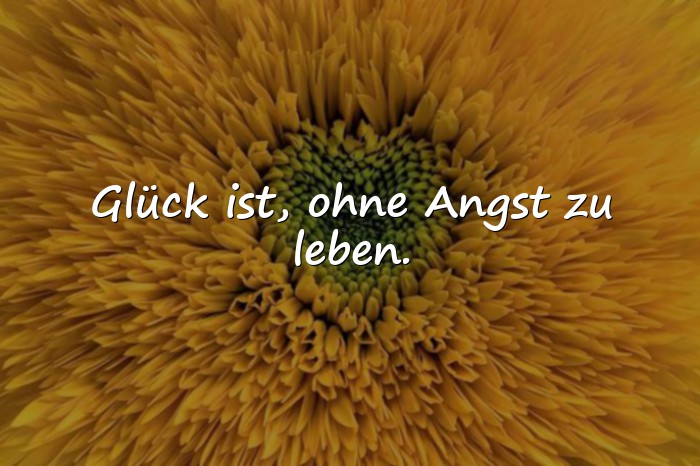 Bilder mit glück ist sprüche - 23