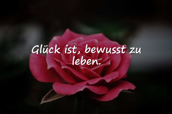 Bilder mit glück ist sprüche - 9