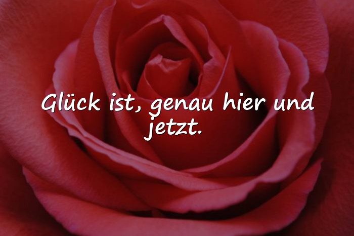 Bilder mit glück ist sprüche - 1