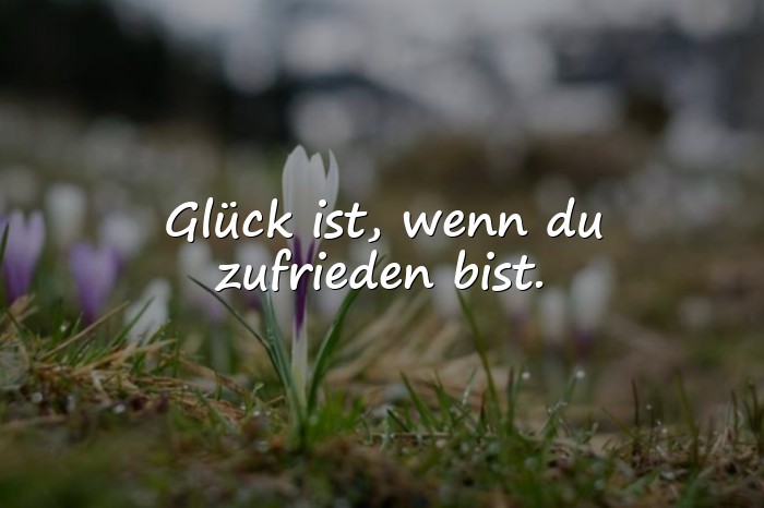 Bilder mit glück sprüche - 11