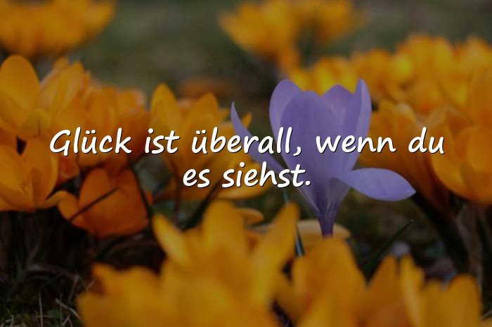 Bilder mit glück sprüche - 2