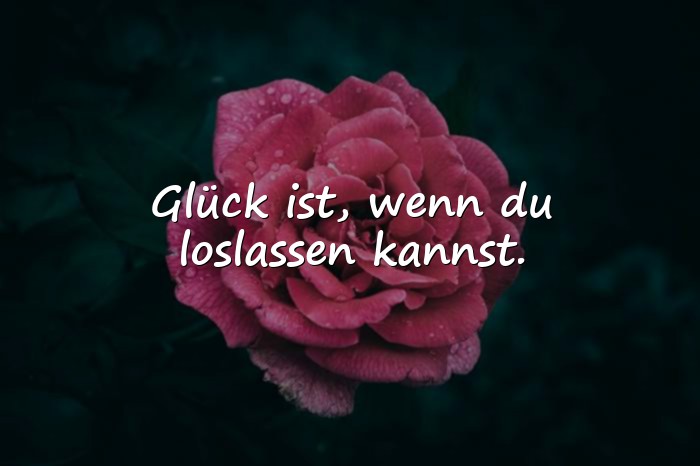 Bilder mit glück sprüche - 6