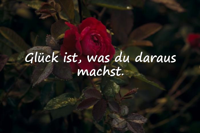 Bilder mit glücklich sein sprüche - 4