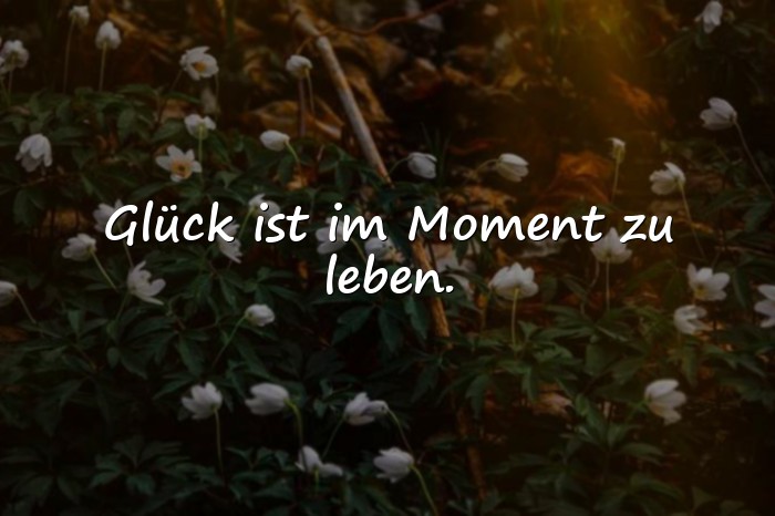 Bilder mit glücklich sein sprüche - 1