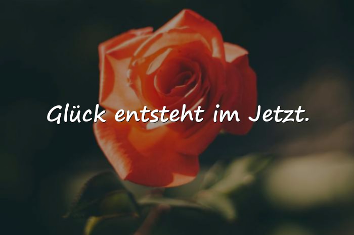 Bilder mit glücklich sprüche - 5