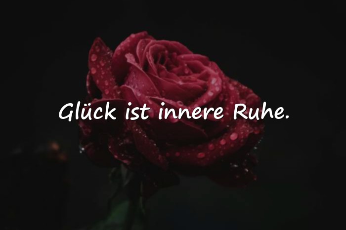 Bilder mit glücklich sprüche - 22