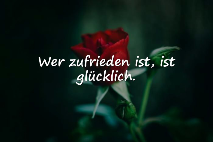 Bilder mit glücklich sprüche - 7