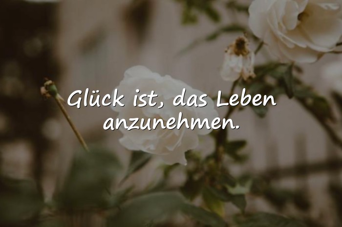 Bilder mit glücklich sprüche - 4