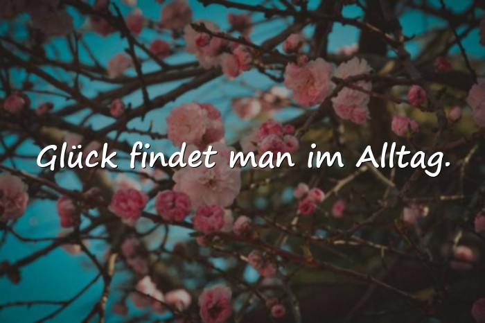 Bilder mit glücksmomente sprüche - 5