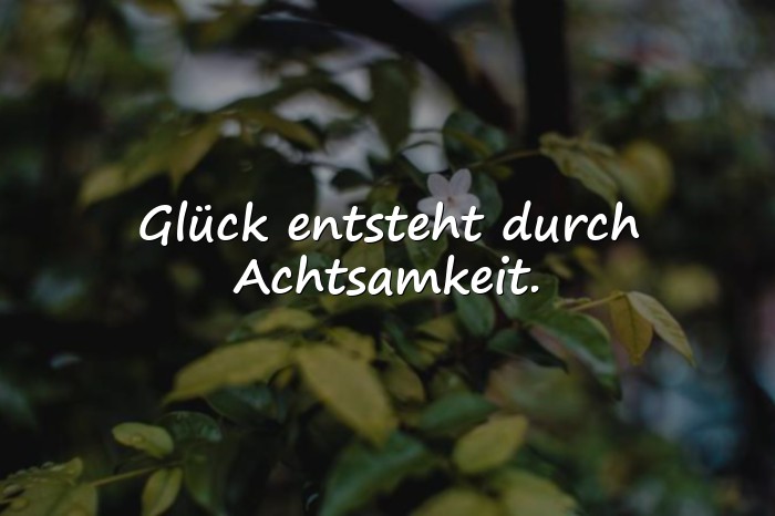 Bilder mit glücksmomente sprüche - 18