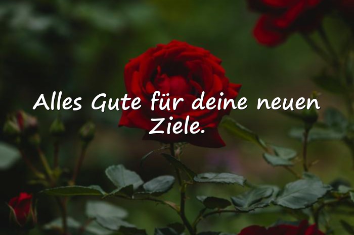 Bilder mit glückwünsche für die zukunft - 1