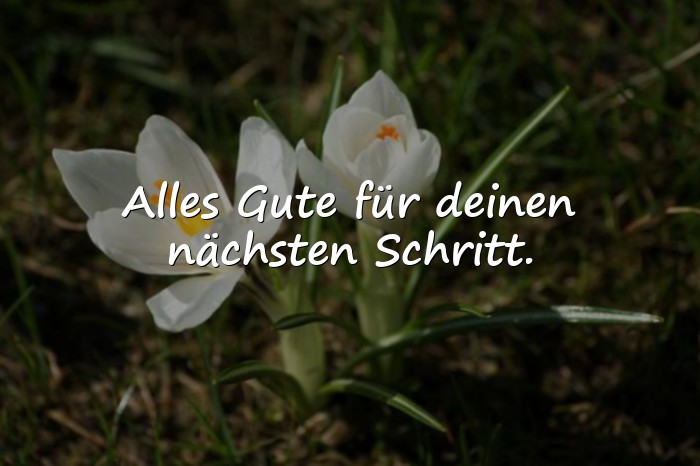 Bilder mit glückwünsche für die zukunft - 10