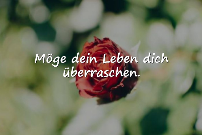 Bilder mit glückwünsche für die zukunft - 6