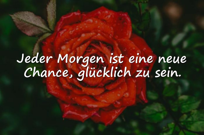 Bilder mit guten morgen grüße - 18