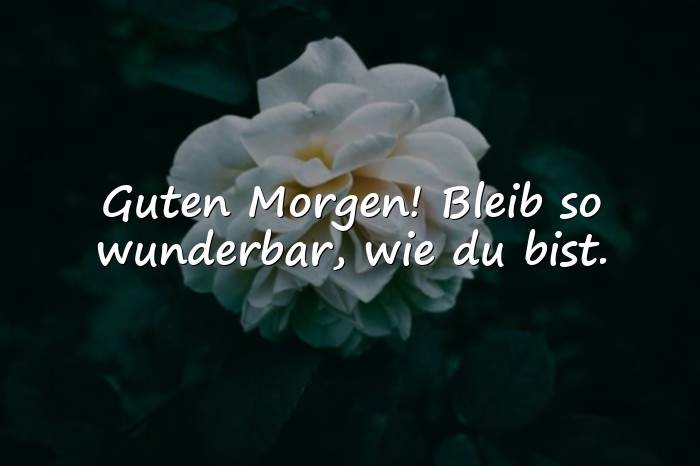 Bilder mit guten morgen grüße - 6