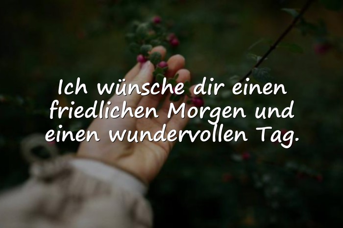 Bilder mit guten morgen grüße - 1