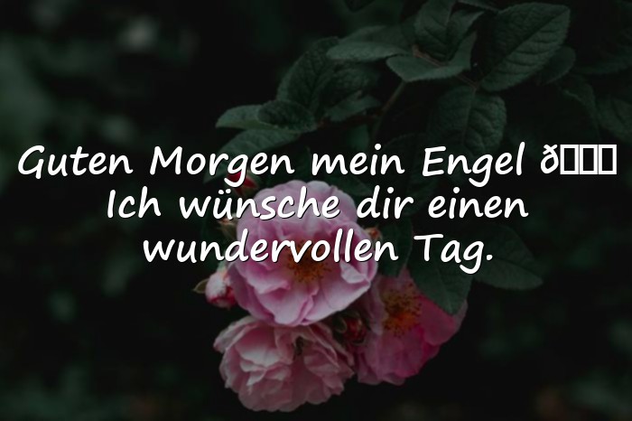 Bilder mit guten morgen mein schatz - 21