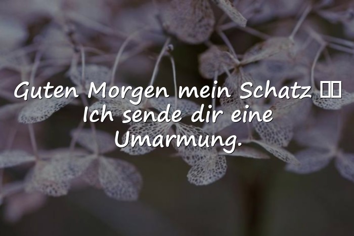 Bilder mit guten morgen mein schatz - 11