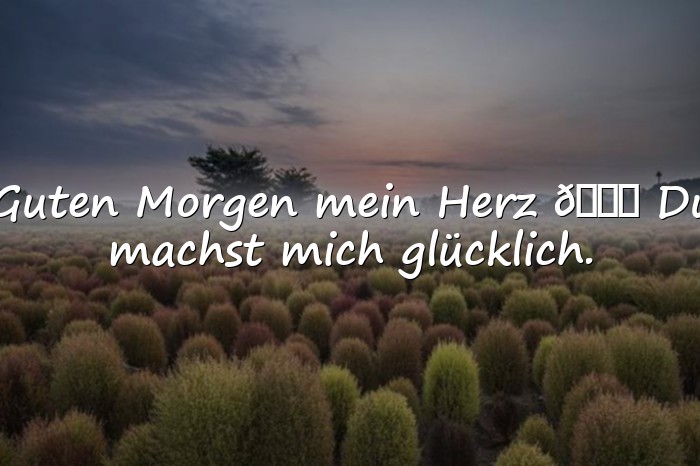 Bilder mit guten morgen mein schatz - 6