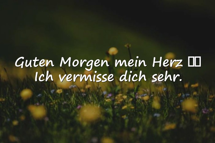 Bilder mit guten morgen mein schatz - 1