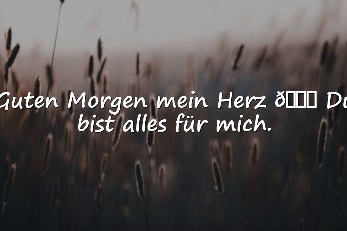 Bilder mit guten morgen mein schatz - 21