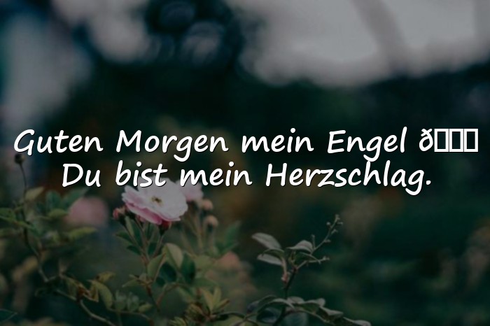 Bilder mit guten morgen mein schatz - 11