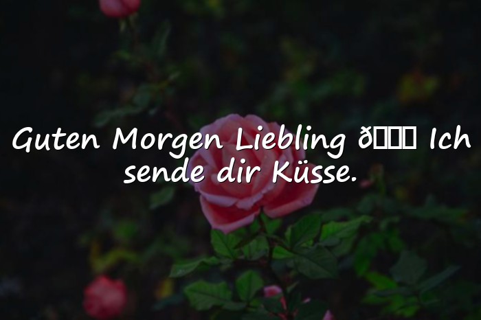 Bilder mit guten morgen mein schatz - 6