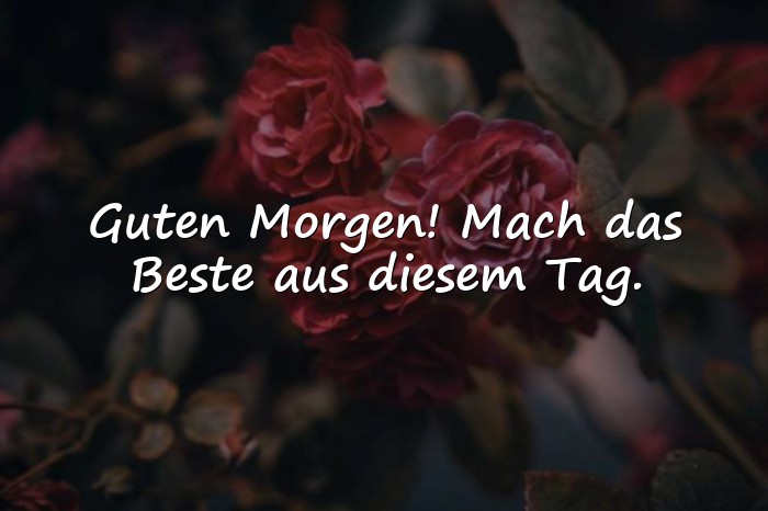 Bilder mit guten morgen sprüche - 19