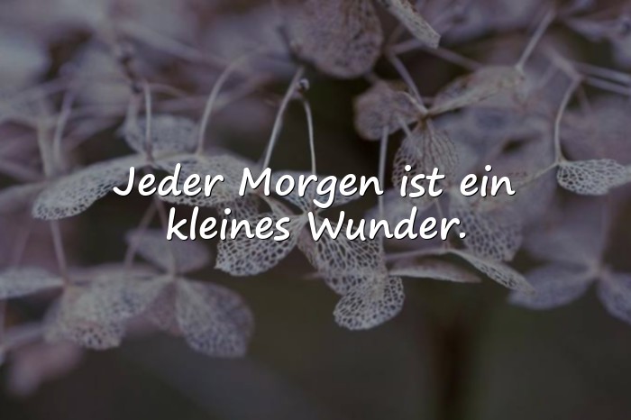 Bilder mit guten morgen sprüche - 15