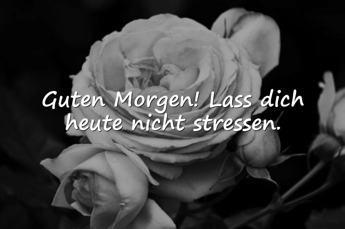 Bilder mit guten morgen sprüche - 10