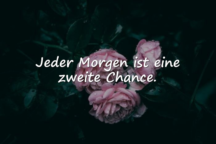 Bilder mit guten morgen sprüche - 6