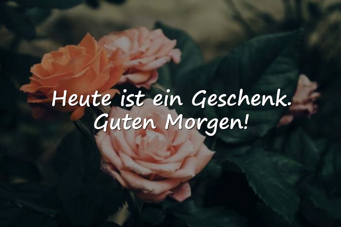 Bilder mit guten morgen sprüche - 21