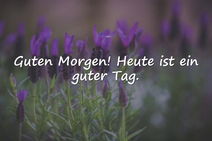 Bilder mit guten morgen sprüche - 16