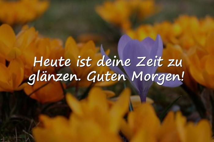 Bilder mit guten morgen sprüche - 11