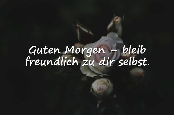Bilder mit guten morgen sprüche - 6