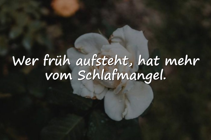 Bilder mit guten morgen sprüche lustig - 19