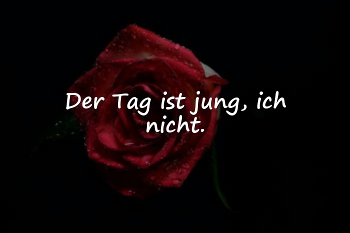 Bilder mit guten morgen sprüche lustig - 5