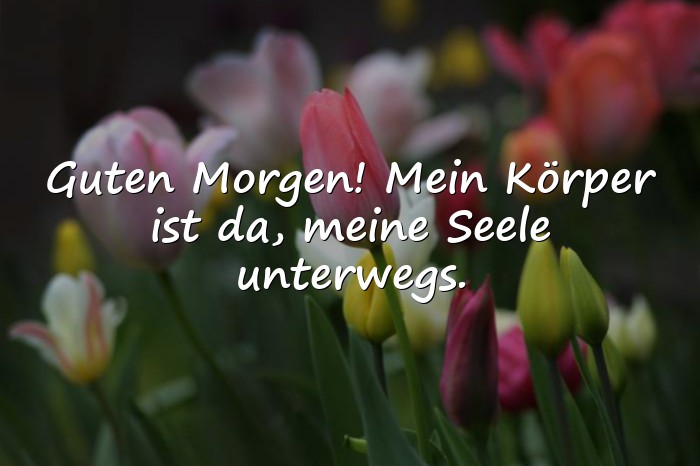 Bilder mit guten morgen sprüche lustig - 16