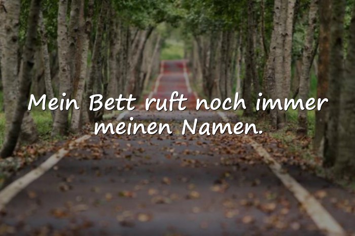 Bilder mit guten morgen sprüche lustig - 11
